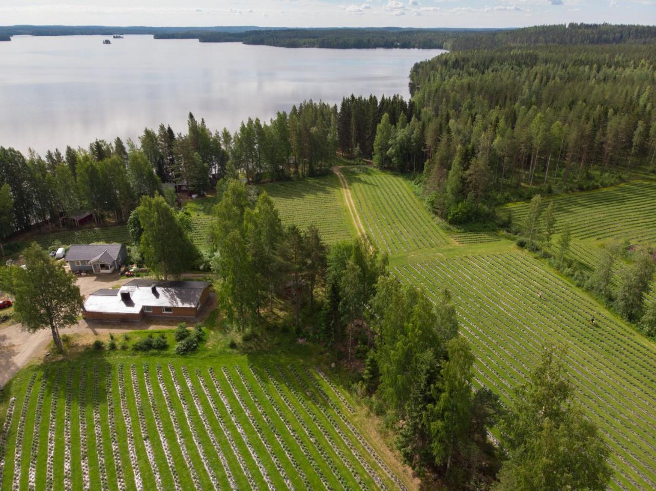 Hiekkarannanlomat Villa Kannonkoski Exterior photo